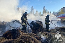 В Уфе водитель сбросил с грузовика горящее сено на парковке