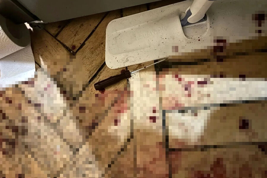 В Петербурге девушка напала на бывшего парня с ножом и отверткой