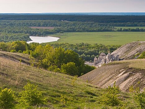 В сервисе Russpass появились туры по Воронежу