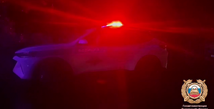 В Ростовской области насмерть сбили пешехода