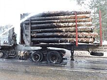 На Челябинском тракте под Екатеринбургом вспыхнула фура с лесом