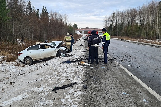 В екатеринбургской больнице умерла супруга спикера думы Североуральска