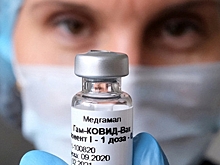 Российская вакцина прорвала европейскую блокаду