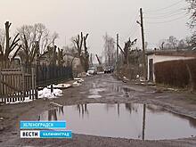 Жители Зеленоградска пытаются добиться ремонта своих дорог