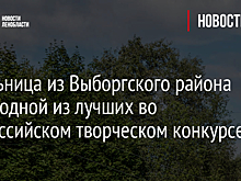 Школьница из Выборгского района стала одной из лучших во всероссийском творческом конкурсе