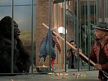 5 семейных фильмов, о которых все забыли