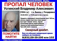 86-летний Владимир Успенский пропал в городском округе Выкса