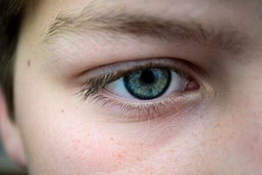 У 52 % школьников Новосибирска сниженное зрение