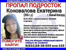 15-летний подросток пропал в Нижнем Новгороде