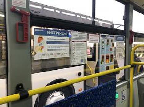 Между аэропортом Пулково и метро Московская запустили новые автобусы