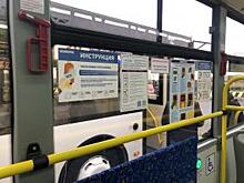 Между аэропортом Пулково и метро Московская запустили новые автобусы