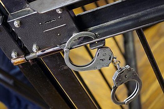 Ранее судимого россиянина задержали за дискредитацию подвига Зои Космодемьянской