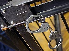 Ранее судимого россиянина задержали за дискредитацию подвига Зои Космодемьянской