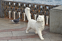 В Ялте появится туристический маршрут «Аллея котов»