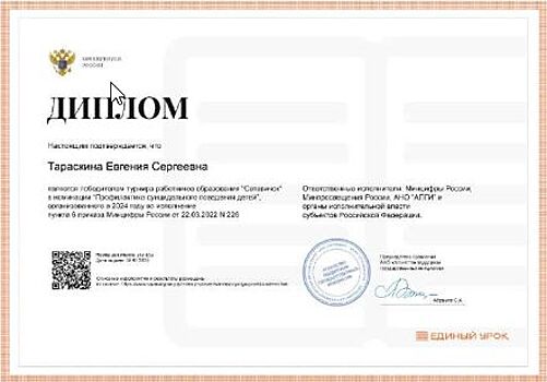 Педагогический турнир «Сетевичок»