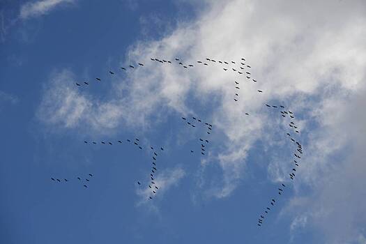 Приметы в сентябре: на погоду, на урожай, на каждый день. Народный календарь