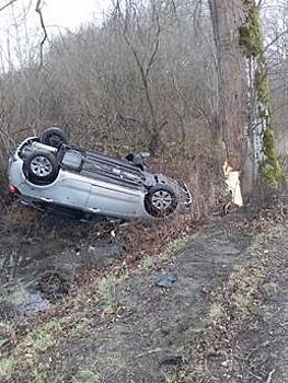 На Люблинском шоссе легковушка врезалась в дерево, водитель в больнице