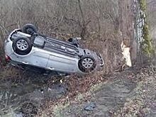 На Люблинском шоссе легковушка врезалась в дерево, водитель в больнице