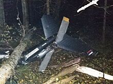 Рухнувший в Костромской области вертолет с прокурором оценили в 110 миллионов