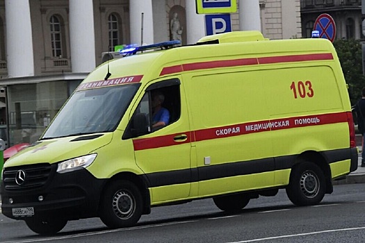 Стало известно число пострадавших в ДТП со сгоревшей иномаркой на трассе в Мурманской области