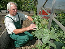 Российских дачников обложили штрафами со всех сторон