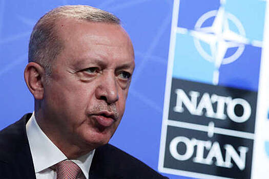 Эрдоган: Турция не получила от Финляндии и Швеции предложений об их членстве в НАТО