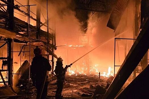 Австрийский полковник спрогнозировал полный коллапс энергетики Украины из-за беспомощности ПВО