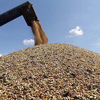 Блинов: Украина не может противостоять аграрным баронам