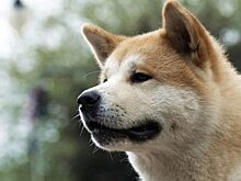 «С первого взгляда и навсегда!»: названы самые верные знаки зодиака