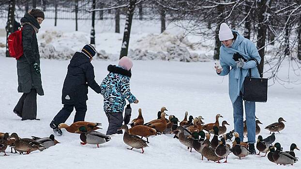 Масштабное благоустройство и новые поликлиники: какие изменения ждут жителей Орехово–Борисово Южное