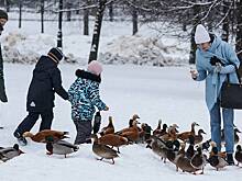 Масштабное благоустройство и новые поликлиники: какие изменения ждут жителей Орехово–Борисово Южное