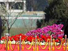 Ким Чен Ын пригласил свою сестру за стол переговоров межкорейского саммита