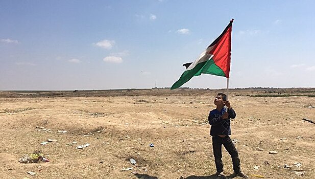 Египет контактирует с Палестиной и Израилем для прекращения кровопролития