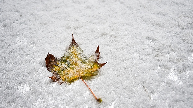 Вильфанд рассказал, в каком регионе пойдет первый снег в России