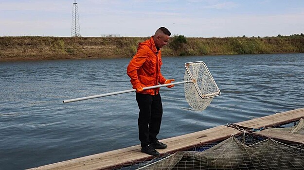 «БИФФ» диверсифицирует бизнес: производитель кормов для рыб начал выращивать осетровых