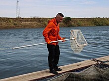 «БИФФ» диверсифицирует бизнес: производитель кормов для рыб начал выращивать осетровых