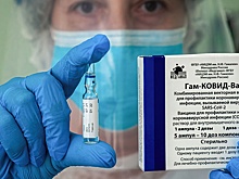 В ВОЗ заявили, что РФ предоставит дополнительные данные по «Спутнику V» до конца года