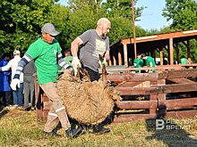 Муфтий назвал цены на жертвенных животных в Курбан-байрам
