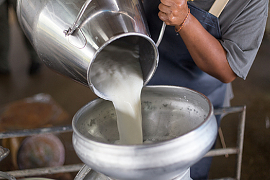 В Великобритании предсказали значительный рост мировых цен на молоко