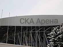 Ребенка в шапке «Зенита» не пускали на матч СКА на «СКА-Арене». Стюард требовал, чтобы ее сдали в камеру хранения (Данила Махалин)