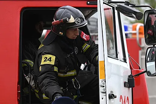 Пять пожарно-спасательных отрядов появилось в Москве в прошлом году