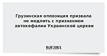 Грузинская оппозиция призвала не медлить с признанием автокефалии Украинской церкви