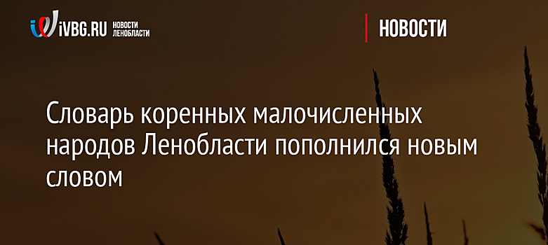 Словарь коренных малочисленных народов Ленобласти пополнился новым словом