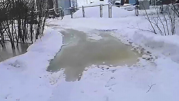 Чиновники Лабытнанги разберутся с проблемой одинокого пенсионера. ВИДЕО