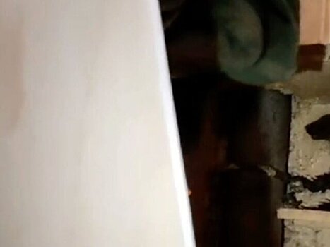 Куница залезла в квартиру уфимца и устроила погром в ванной