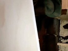 Куница залезла в квартиру уфимца и устроила погром в ванной