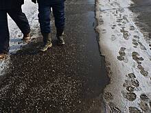 Раскрыт неожиданный вред соли на даче