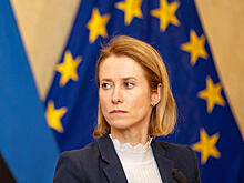 В Совфеде высказались об «авторитете» Каллас