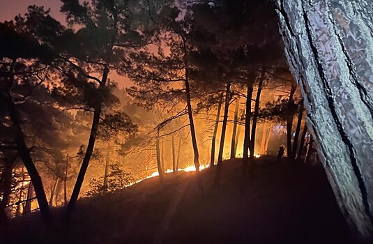 Более гектара леса горит в районе Голубой Бездны Геленджика