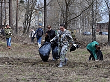 В Костроме почти месяц уделили чистоте, но ликвидировали лишь одну стихийную свалку